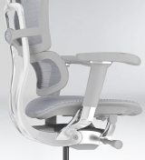 Ergohuman Elite 2 ST